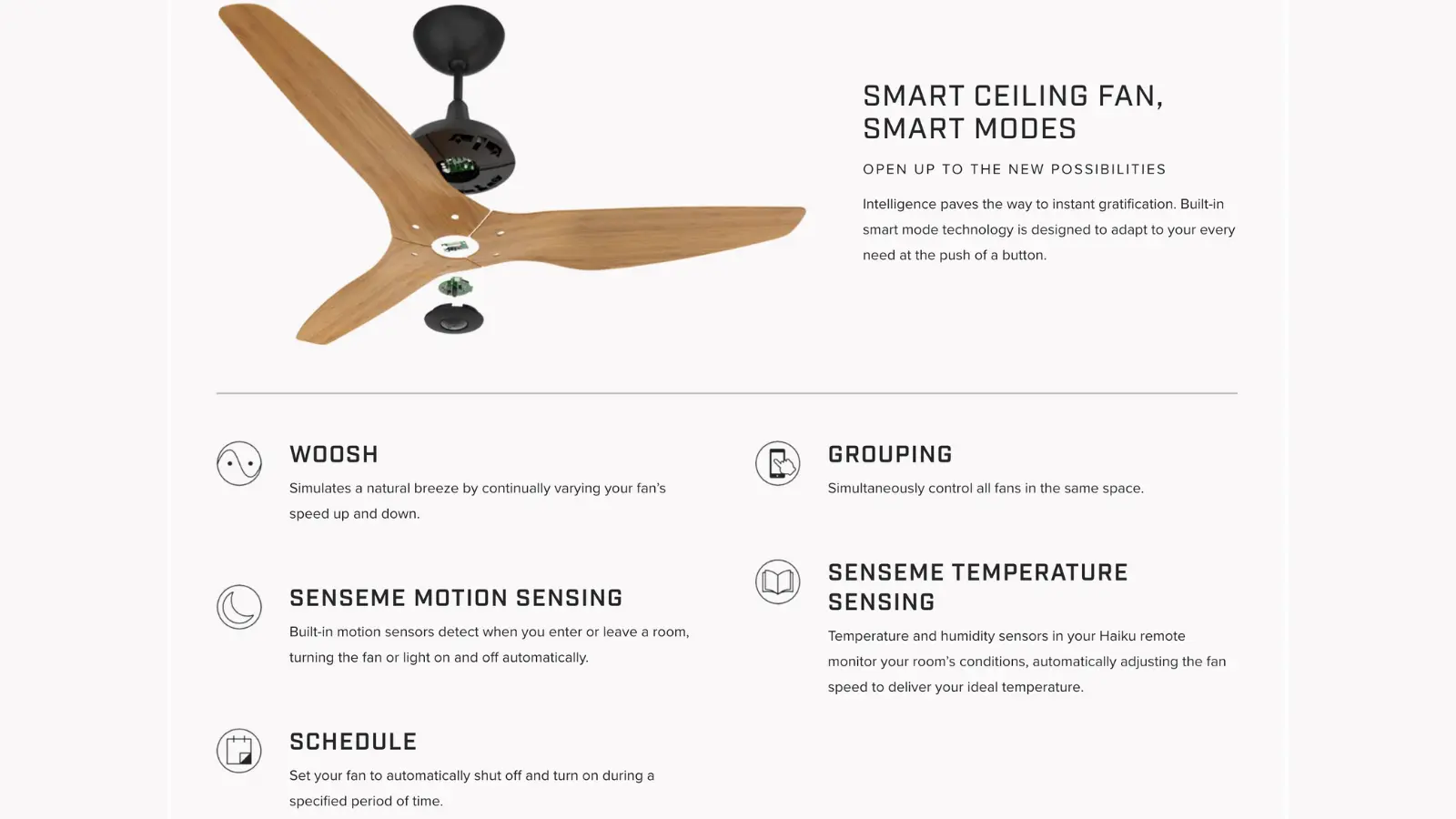 Smart Ceiling Fan